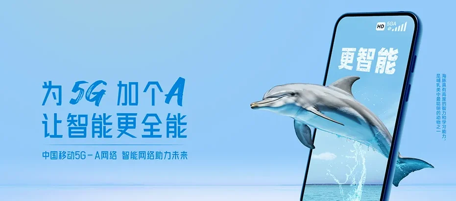 岳西县岳西县莲云乡 移动宽带